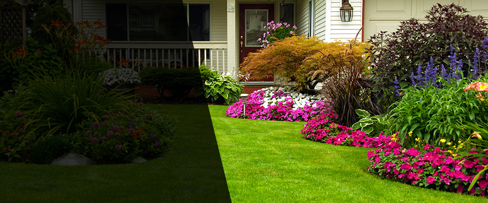 Douglasville Landscapers