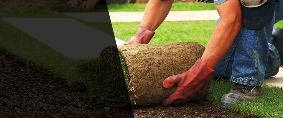 Douglasville Landscapers